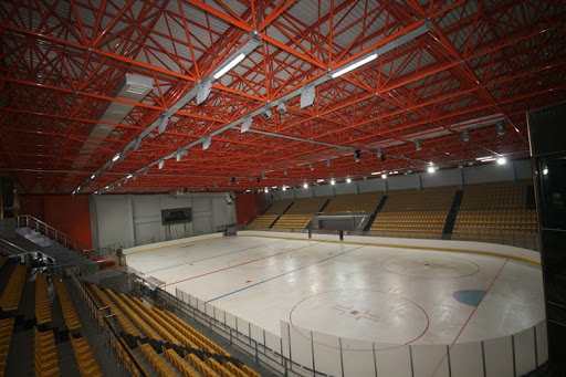 olimpik buz pisti