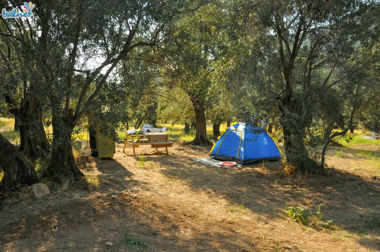 kamp yapmanın faydaları
